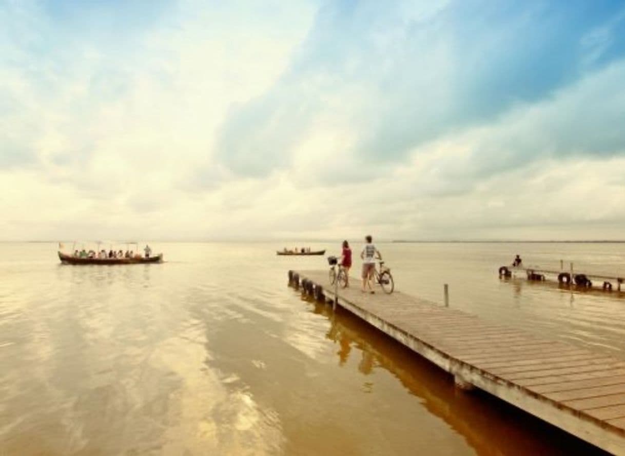 Lugar Parque Natural De La Albufera .Pinedo