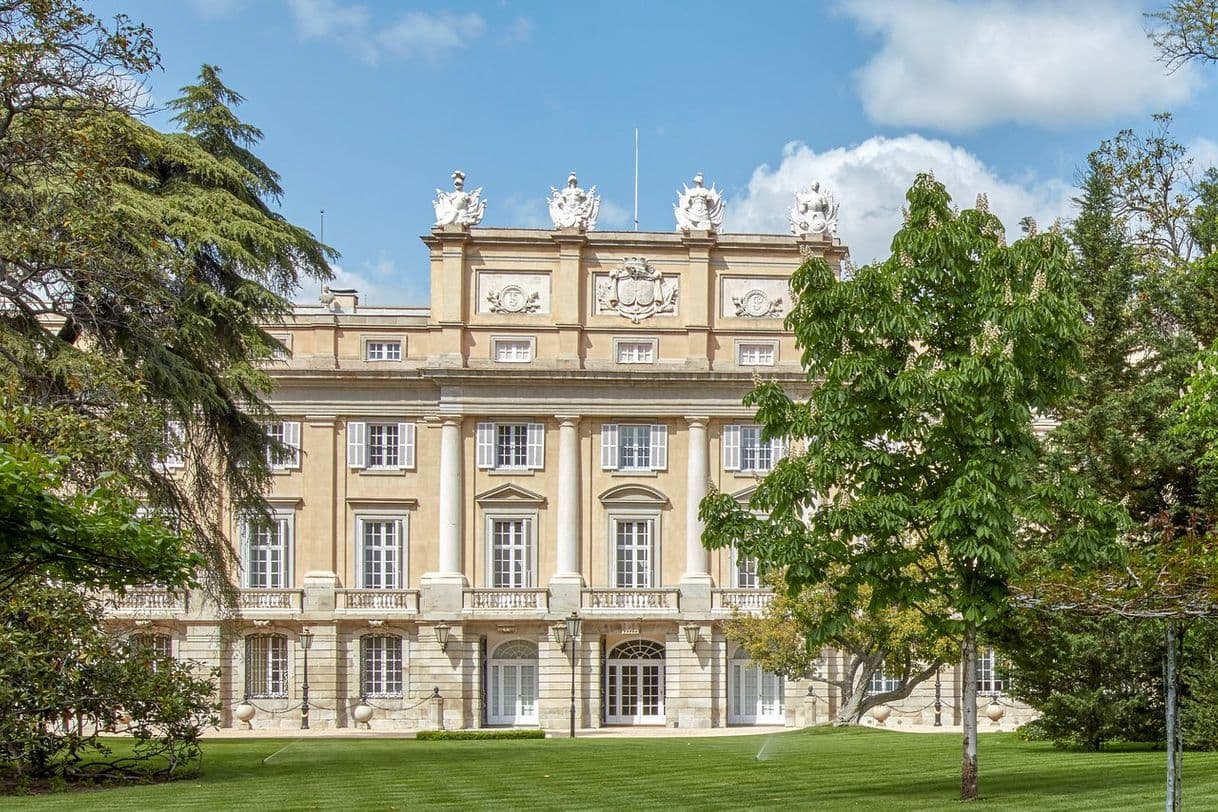 Place Palacio de Liria