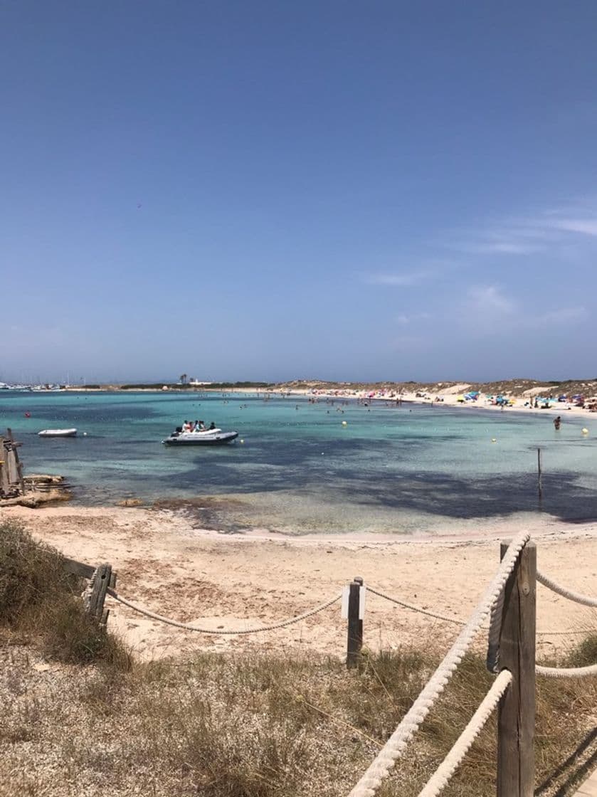 Place Playa de Ses Illetes