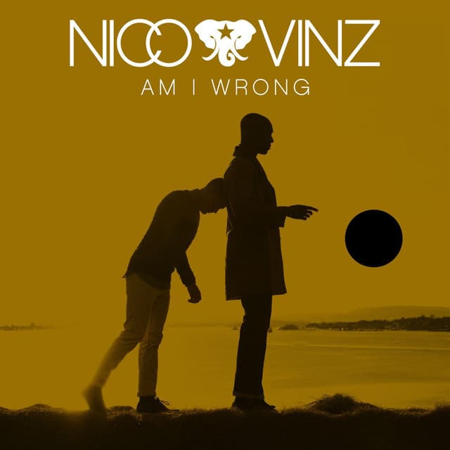 Canción Am I Wrong