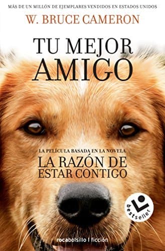 Libro La razón de estar contigo