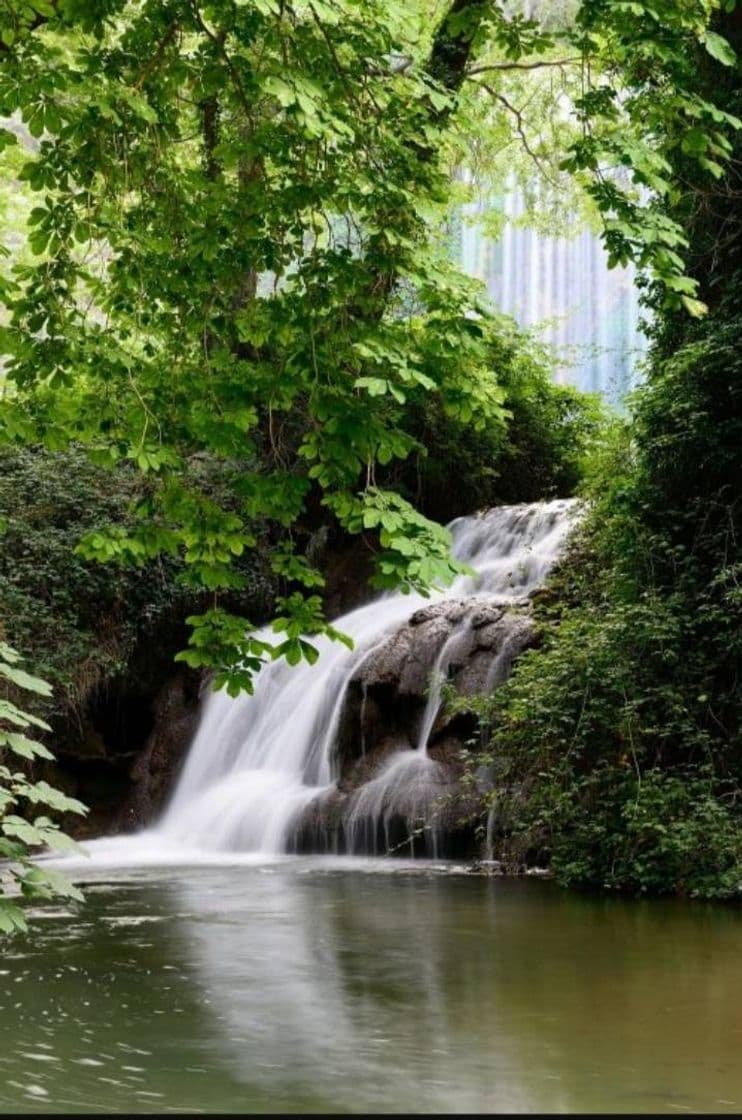 Lugar Monasterio de Piedra Natural Park