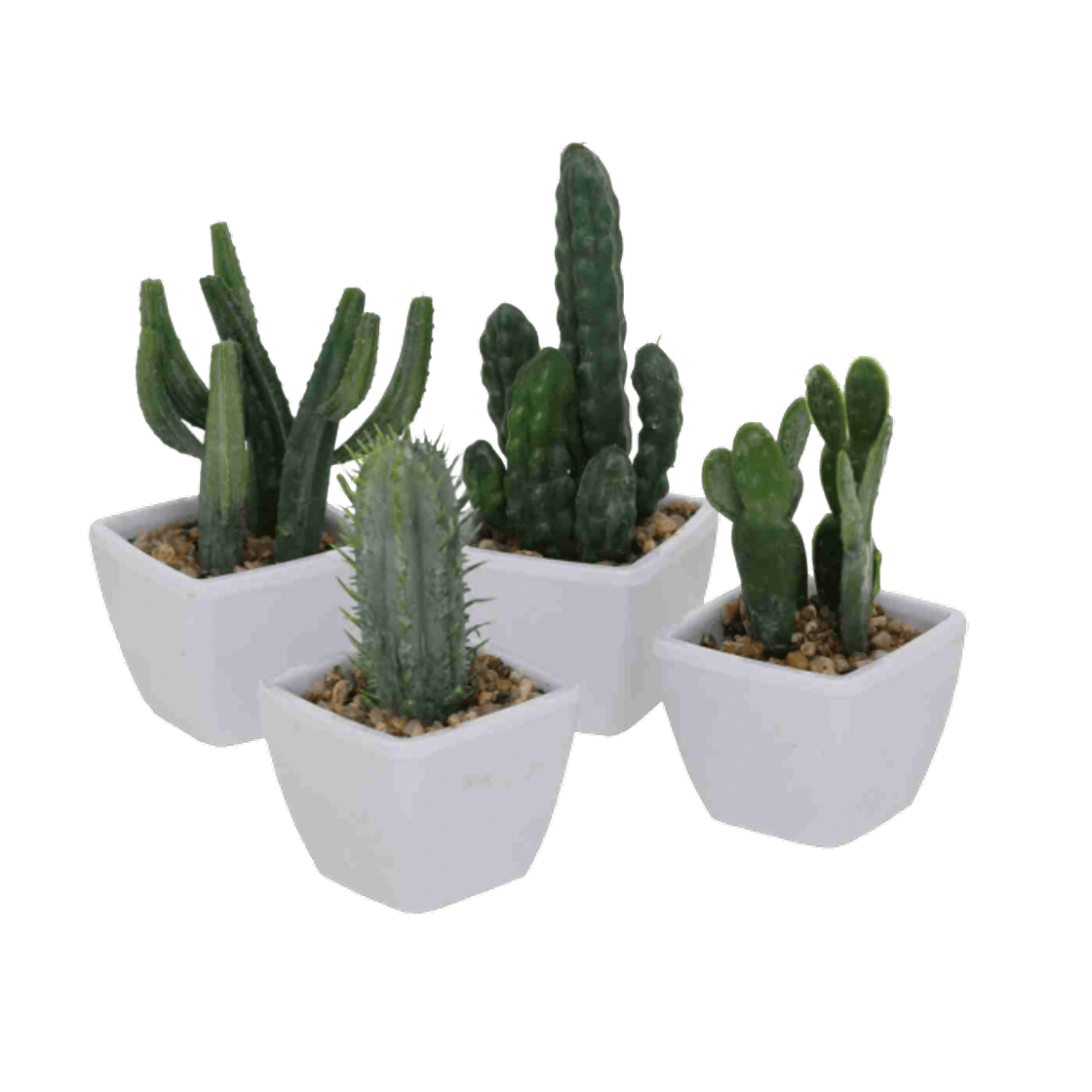 Moda PLANTA CACTUS ODALIS ARTIFICIAL