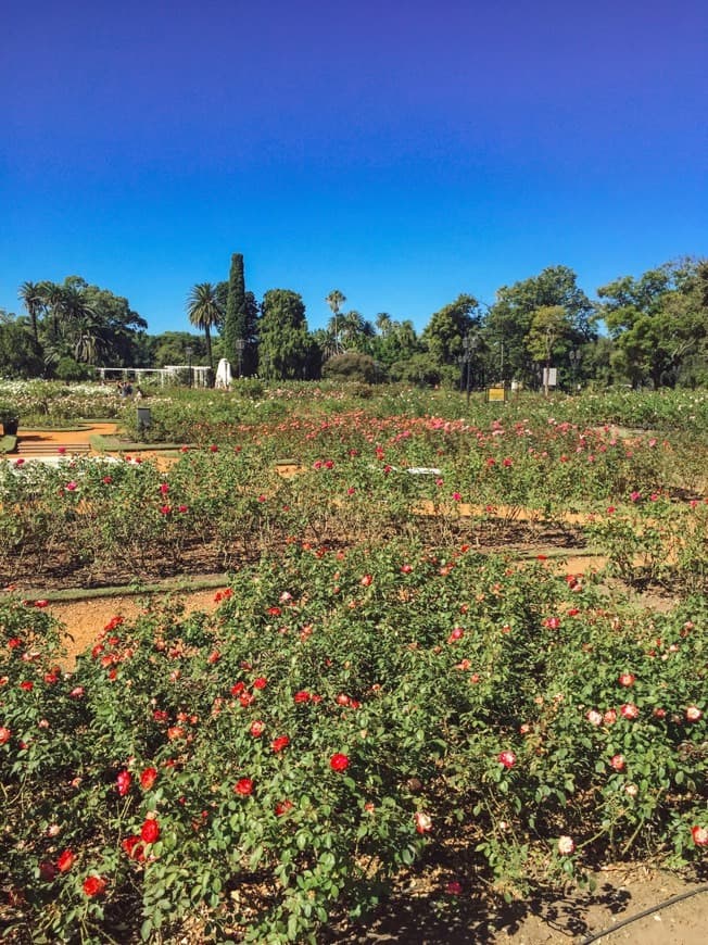 Lugar El Rosedal de Palermo