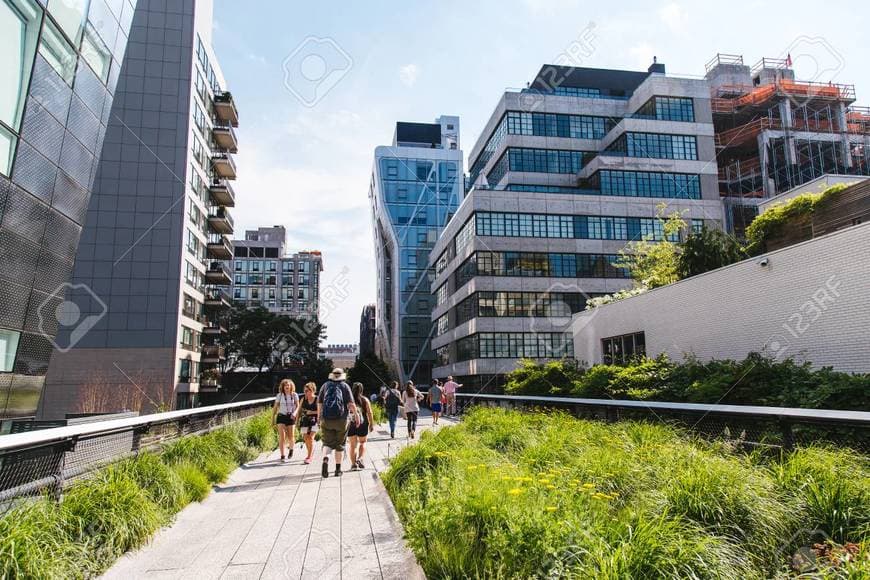 Place The High Line