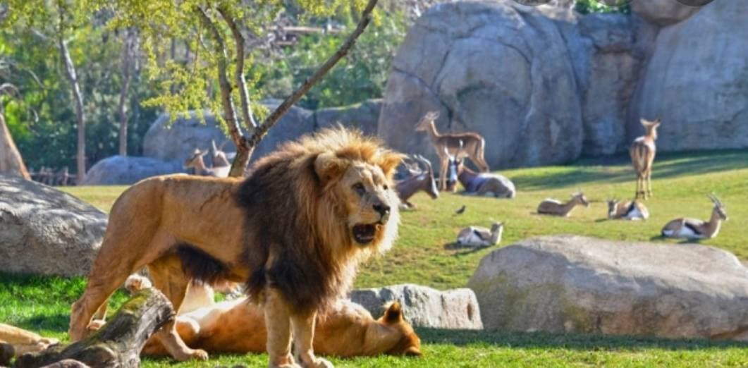 Place Bioparc Valencia