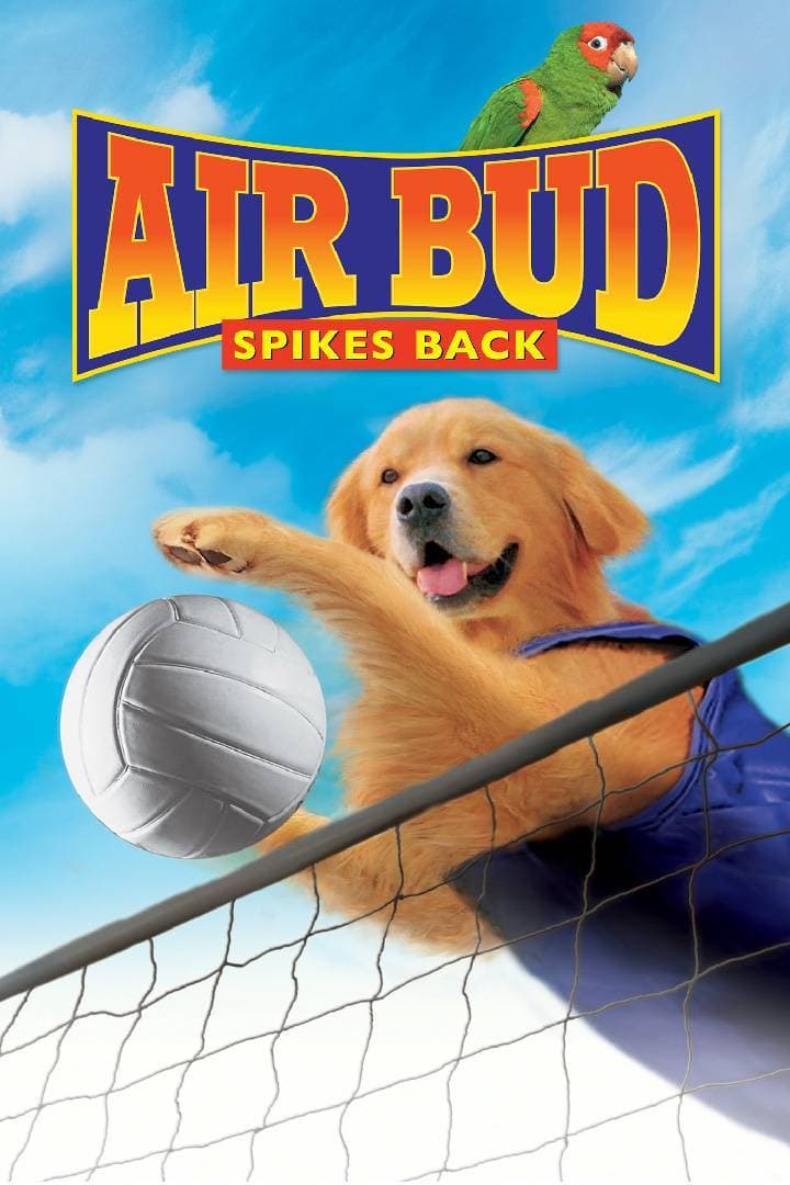 Movie Air Bud: Spikes Back