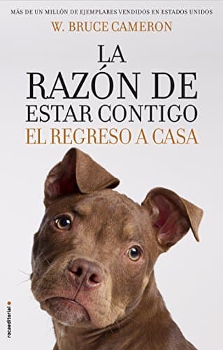 Libro La razón de estar contigo. El regreso a casa