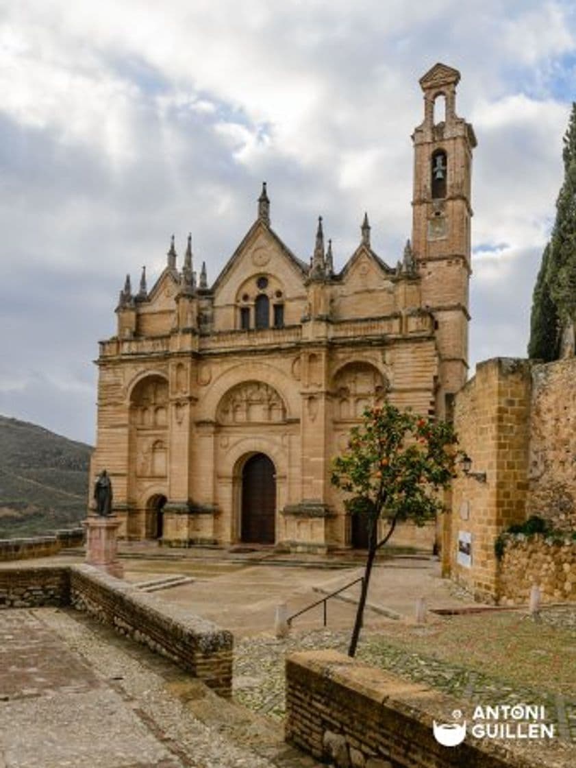 Place Real Colegiata de Santa María la Mayor