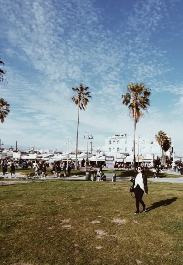 Lugar Venice Beach