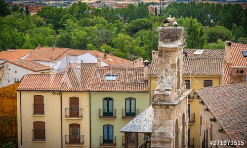 Place Zamora