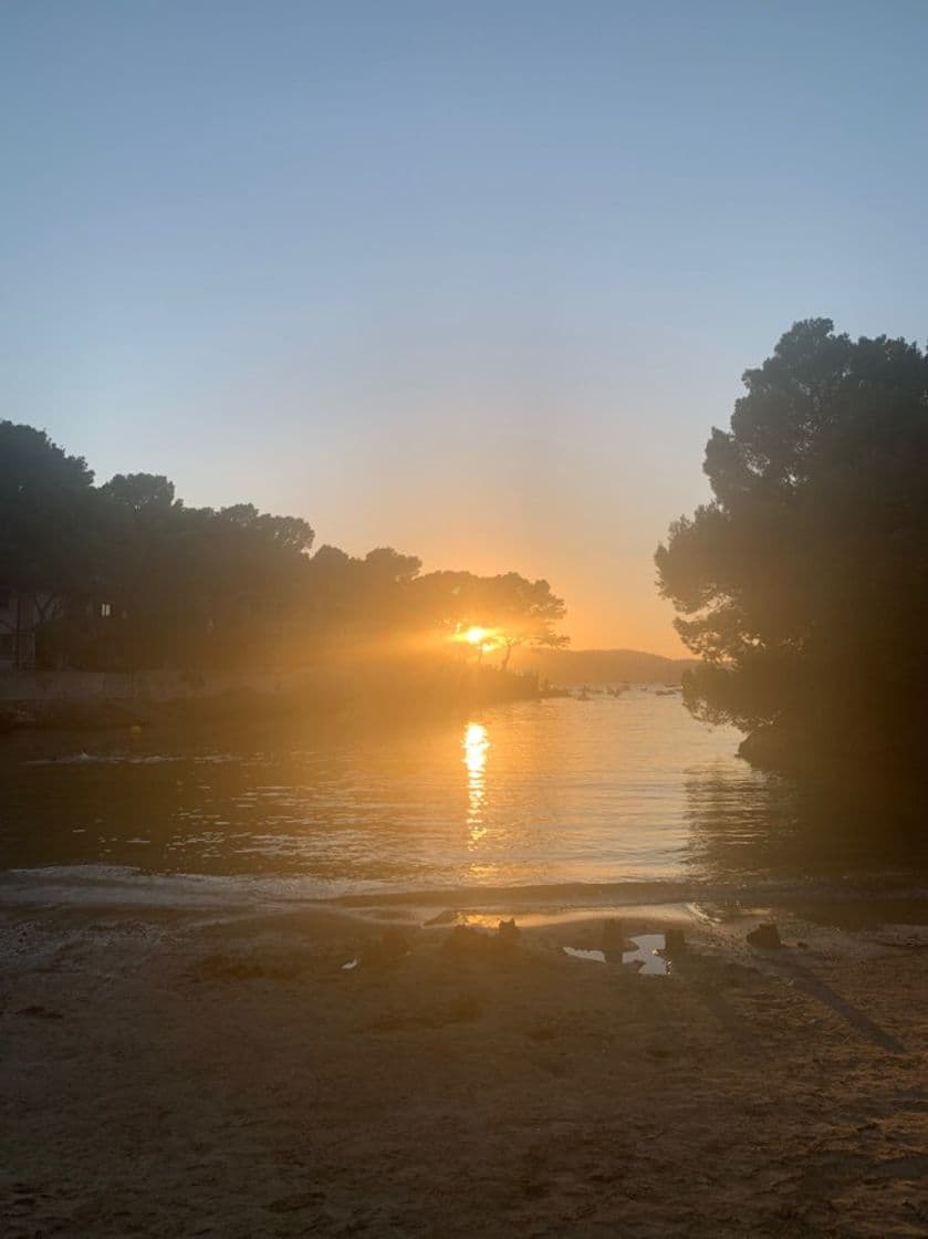 Lugar Cala de Santa Ponça