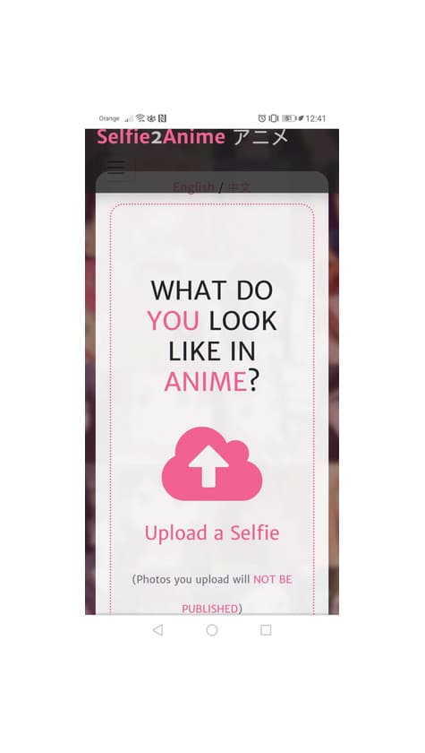 Product Selfie2Anime