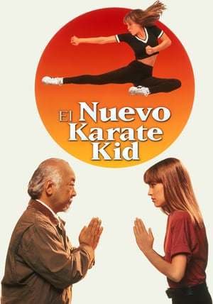 Película The Next Karate Kid