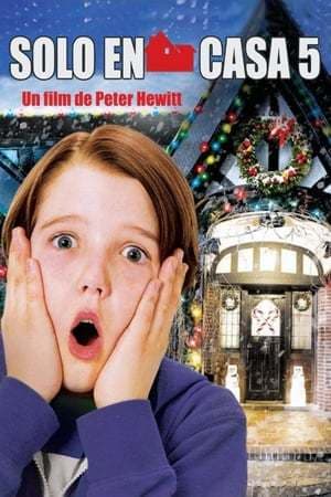 Movie Home Alone: The Holiday Heist