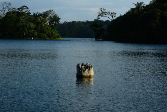 Lugar Lago Gatún