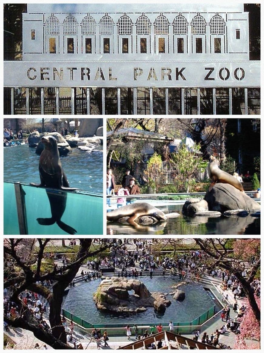 Lugar Zoológico de Central Park