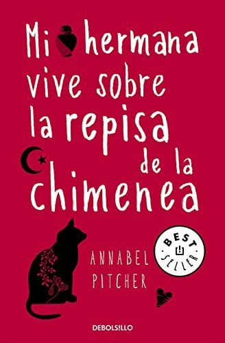 Book Mi hermana vive sobre la repisa de la chimenea