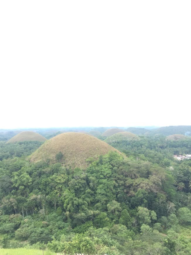 Lugar Chocolate Hills