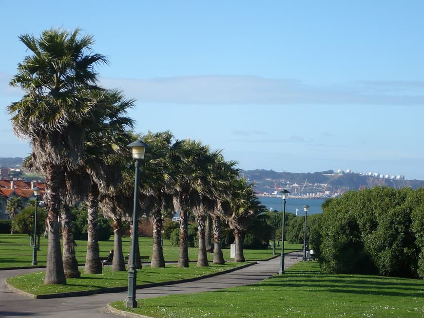 Place Parque Del Rinconin