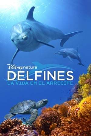 Movie Delfines la vida en el arrecife