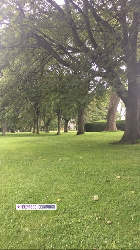 Place Holyrood Park