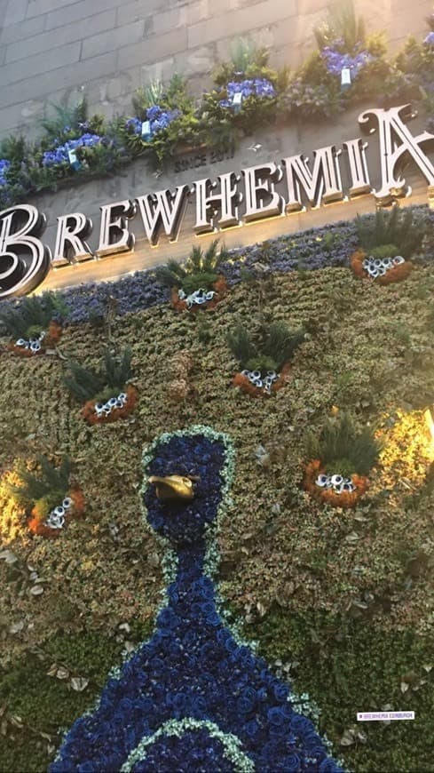 Restaurants Brewhemia