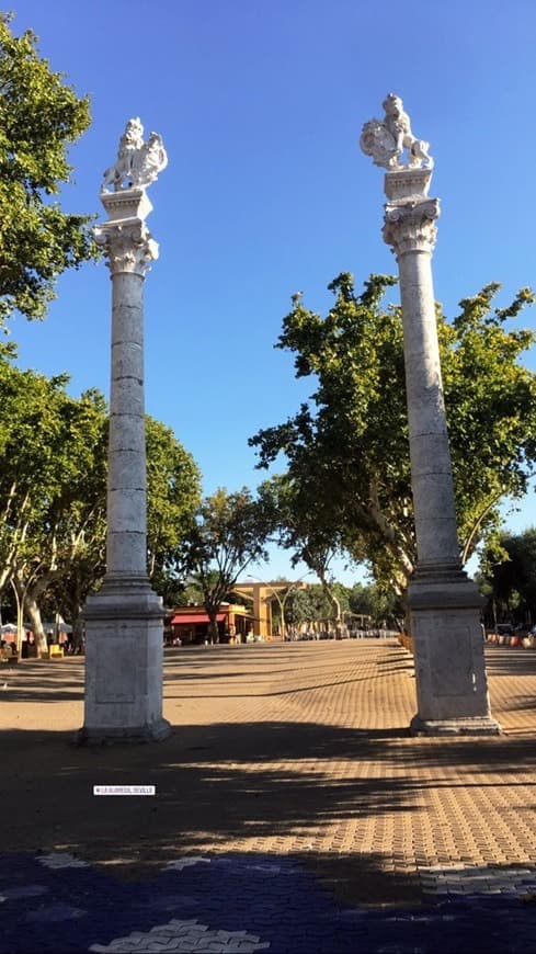 Place Alameda de Hércules