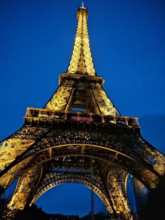 Place Tour Eiffel - Parc du Champ-de-Mars