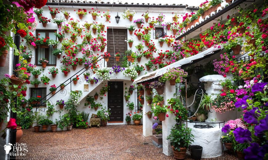 Lugar Patios de Córdoba