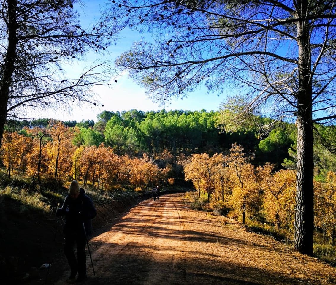 Moda Subida al Picuzo- sendero