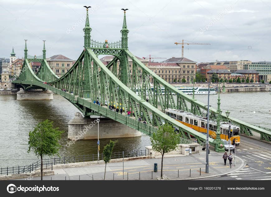 Lugar Puente de la Libertad