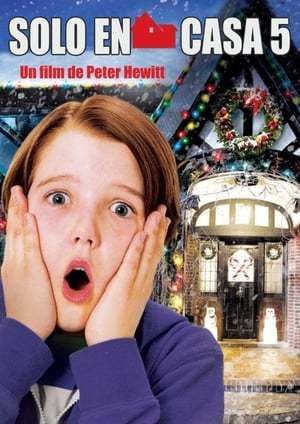 Movie Home Alone: The Holiday Heist