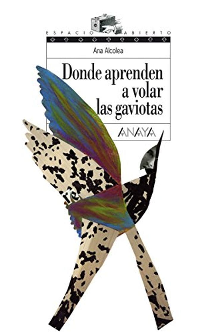 Libro Donde aprenden a volar las gaviotas