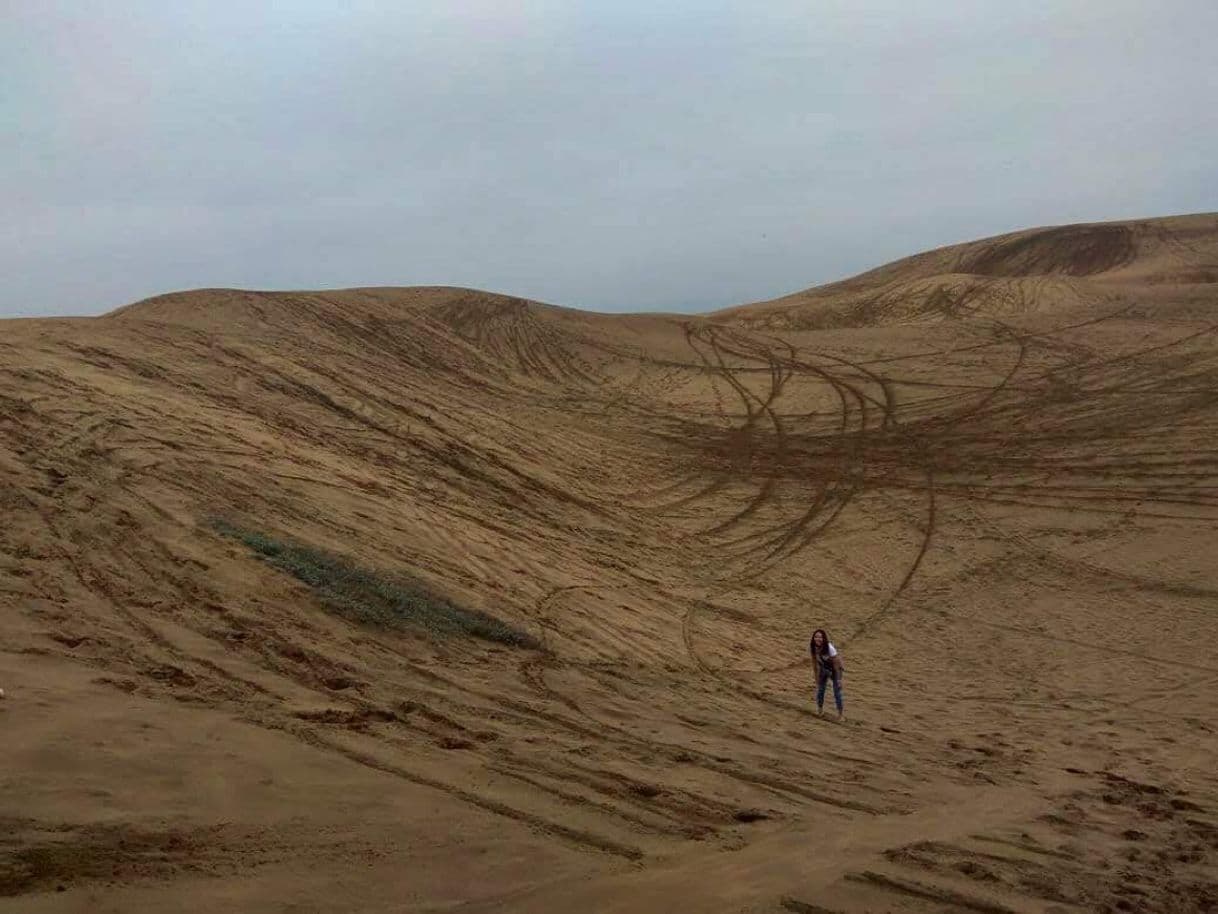 Place Dunas De Concón