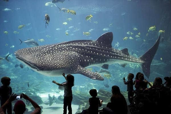 Lugar Acuario Sevilla