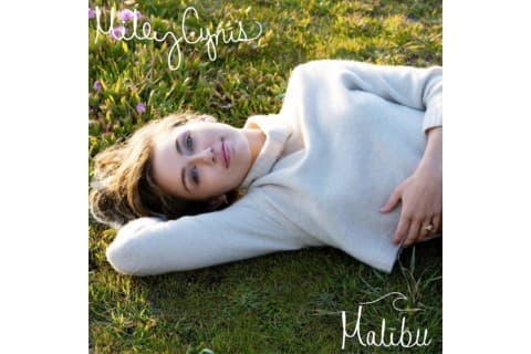 Canción Malibu