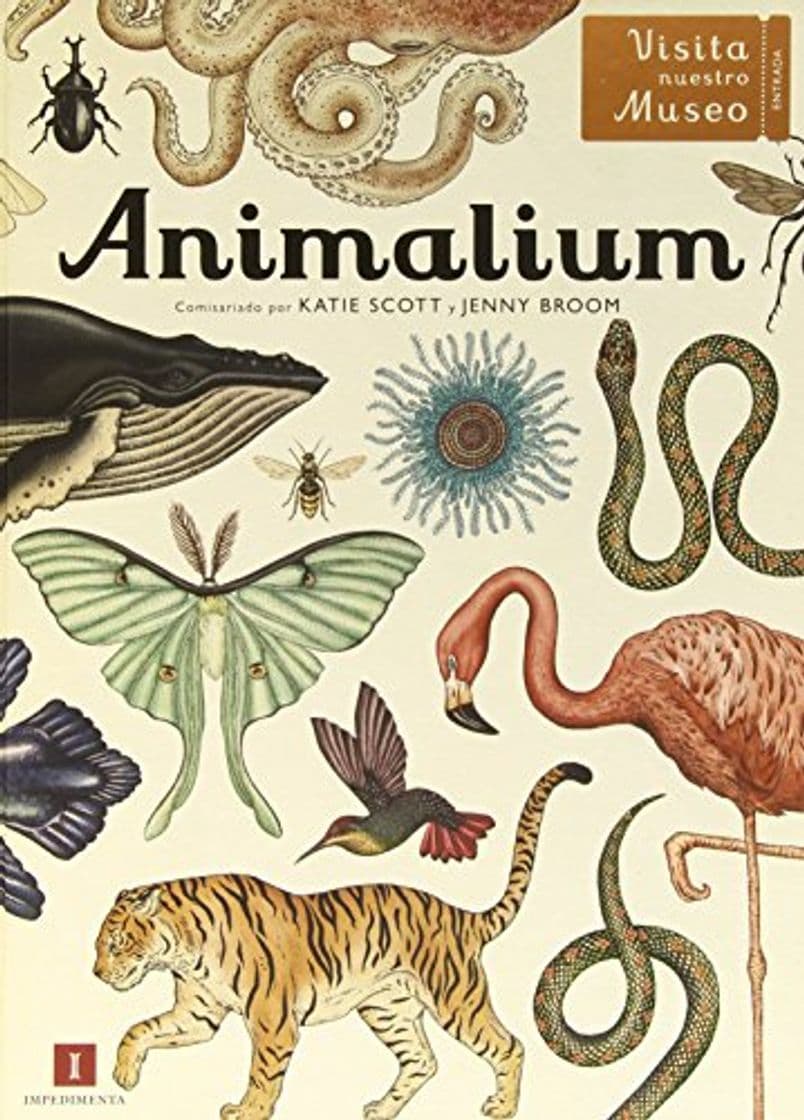 Libro Animalium (El chico amarillo)