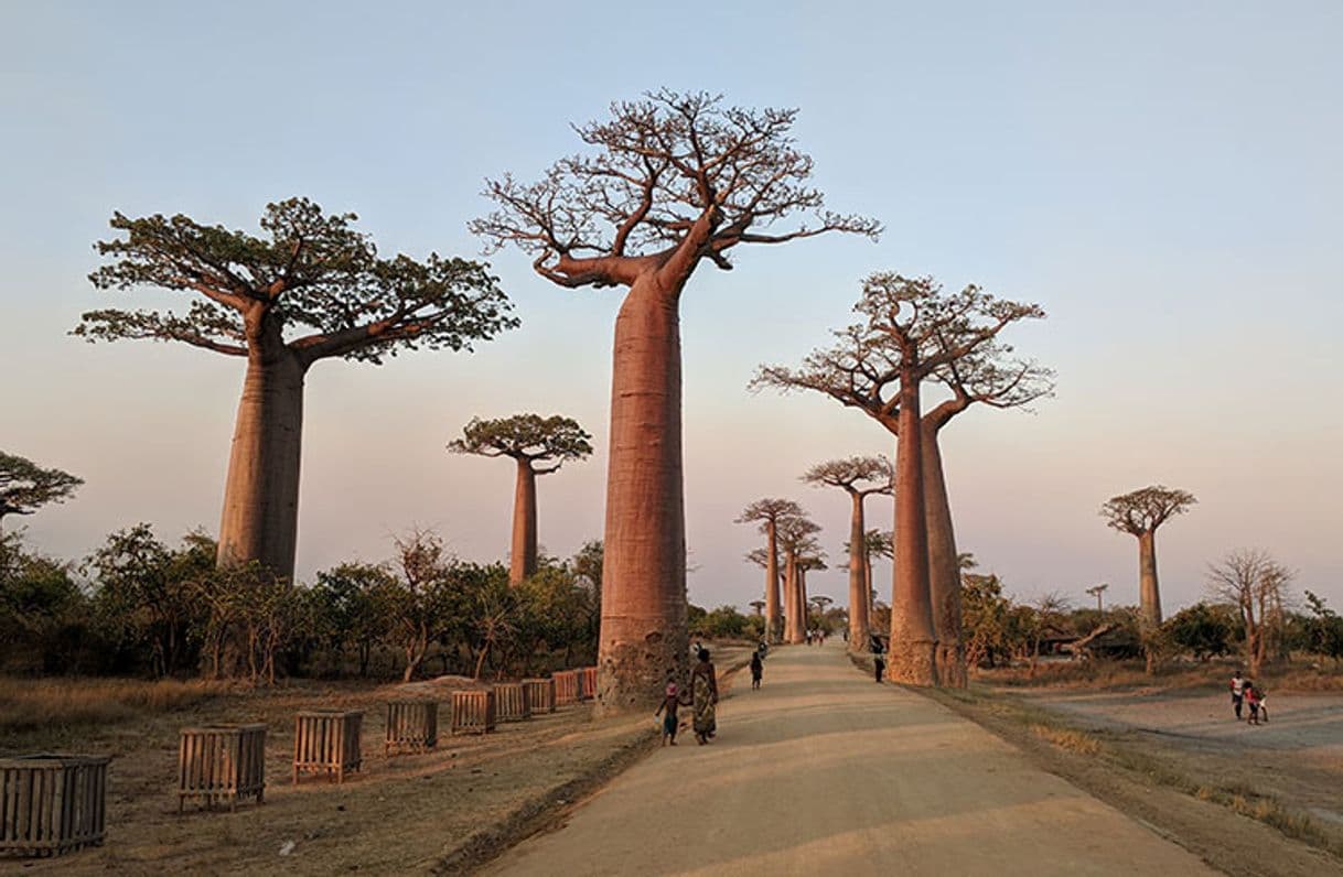 Lugar Madagascar