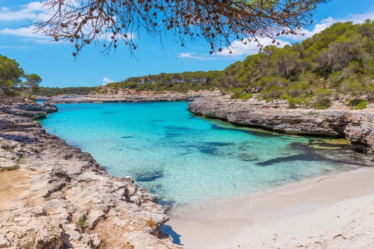 Place Cala Mondragó