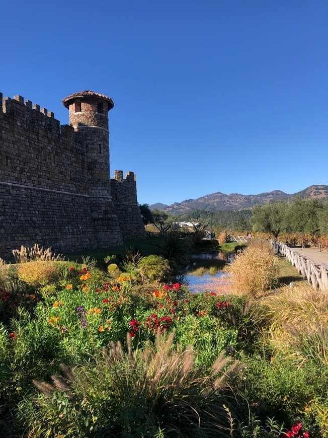 Place Castello di Amorosa