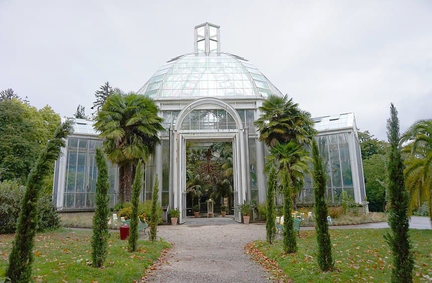 Lugar Conservatorio y Jardín Botánico de Ginebra