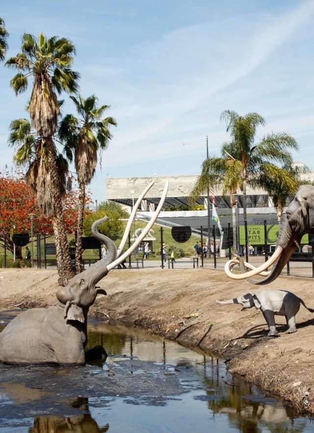 Place La Brea Tar Pits