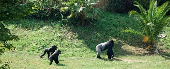 Lugar Cabárceno Natural Park