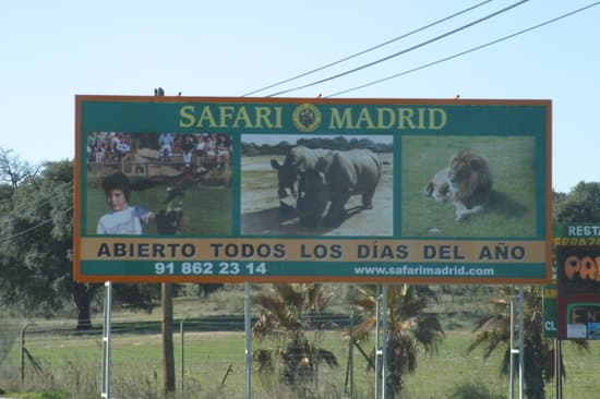 Lugar Safari Madrid