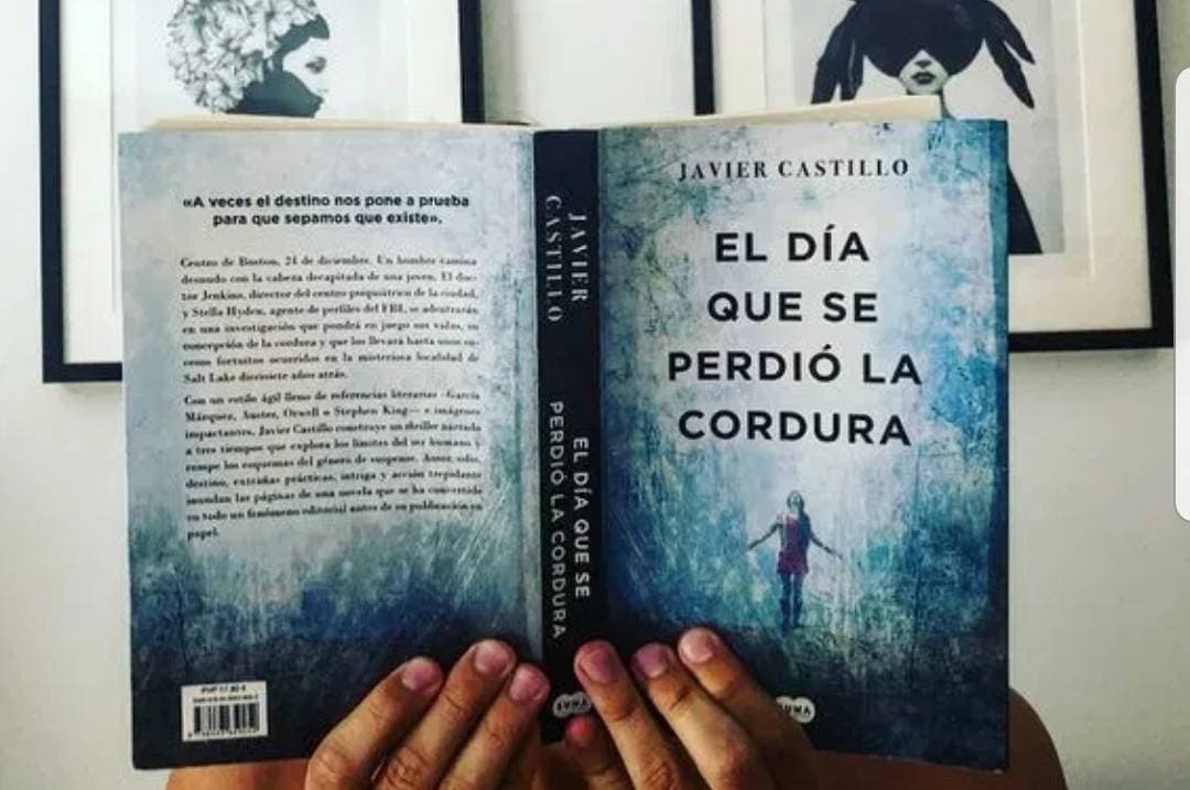 Libro El día que se perdió la cordura