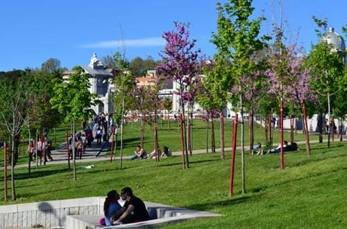 Lugar Parque de las Delicias