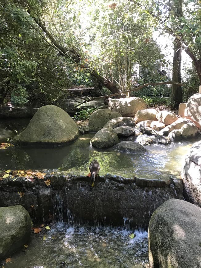 Lugar Calouste Gulbenkian Foundation