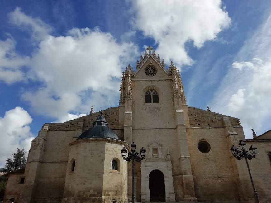 Place Catedral de Palência