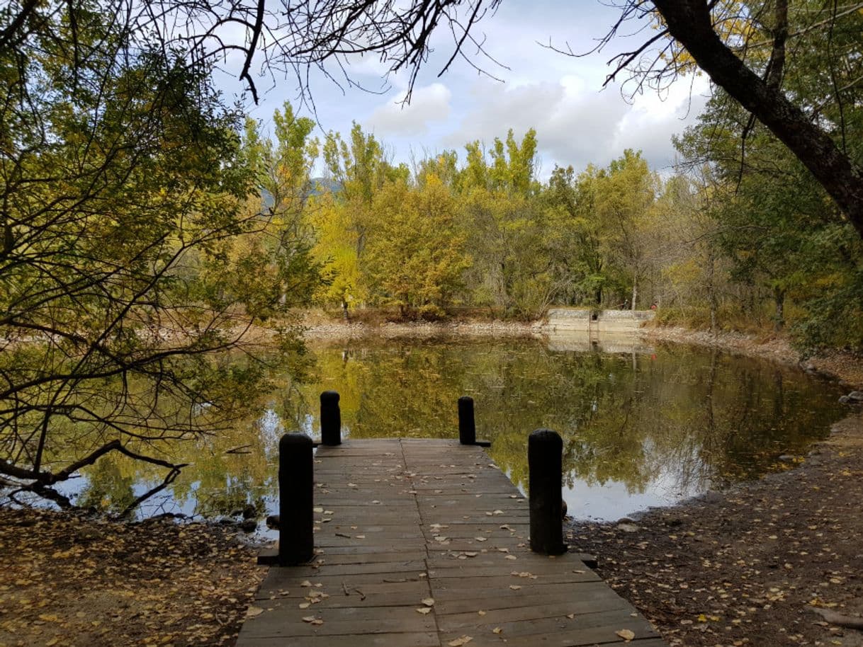 Place Bosque finlandes rascafria